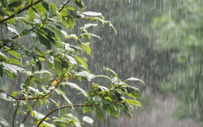 Why is Rain Water Harvesting Important?