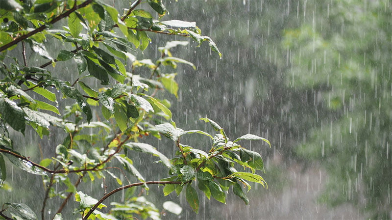 Why is Rain Water Harvesting Important?